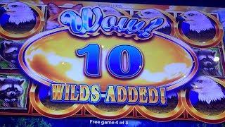 BIG WIN - Birds of Pay Slot Machine Bonus