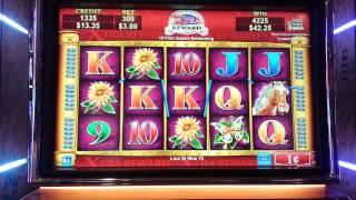 Xtra Reward,  Slot Machine Free Spins.