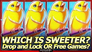 Sweet Tweet Slot Machine - Which is Sweeter? Drop & Lock Feature or Free Games Bonus?