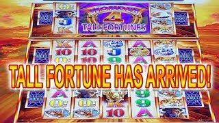 TALL FORTUNES WONDER 4 • BUFFALO GOLD SUPER FREE GAMES • Las Vegas Casino