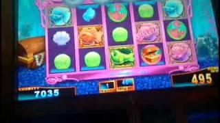 Gold fish race for the gold slot machine bonus round
