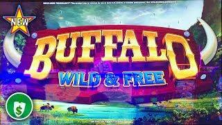 •️ New - Buffalo Wild & Free WA VLT slot machine, bonus