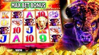 NICE WIN! MAX BET RETRIGGERS | Buffalo Gold Slot Machine | Triple Double Gold Doubloon