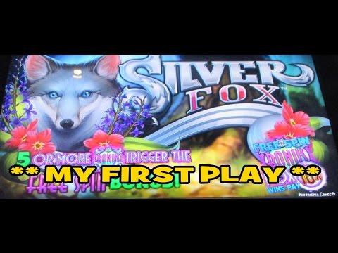 MULTIMEDIA GAMES - Silver Fox *** My first play ***