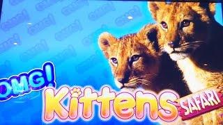 ++NEW OMG Kittens Safari slot machine, Live Play & Bonus