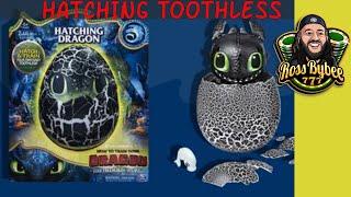 How to train your Dragon Toothless Egg as it hatches!!
