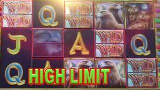 Super Big Win on Soaring Wings "High Limit" By Slot Lover