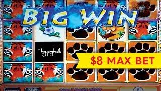 Tiger's Realm Slot - lNCREDIBLE $1000 BIG WIN Longplay - $8 Bet!