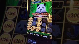 $100 A Spin JACKPOT On Dragon Cash Slot #SHORTS