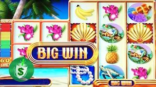 Fortunes of the Caribbean 95% slot machine, 2 bonus types