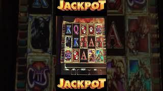 CATS WILDS PAYS A JACKPOT! HIGH LIMIT SLOTS #shorts