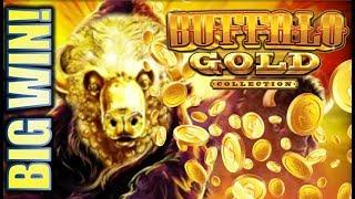 •BIG BUFFALO WIN!• BUFFALO GOLD & PURE GOLD Slot Machine Bonus (Aristocrat)