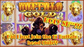 HANDPAY!! 15 BUFFALO HEADS, 5 GOLD COINS!
