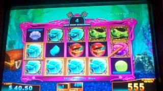 Goldfish race for the gold bonus free spins slot machine