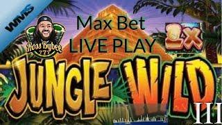LIVE PLAY UNCUT Jungle Wild III 3 Spin Along Major Progressive Hunting Max Bet Slot Action LIVE