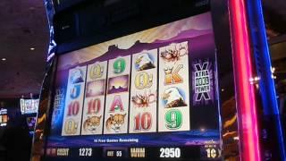 Buffalo Slot Machine Bonus Mirage Las Vegas 100x