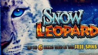 Snow Leopard Slot Machine Max Bet Bonuses Won | WMS Slot
