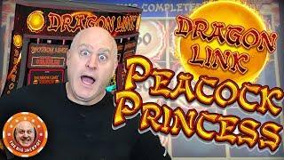 •NEW HIGH LIMIT • Dragon Link Princess Peacock Slot JACKPOT$!