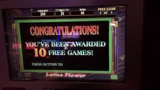 High Limit Slot Lotos Flower Slots Bonus Free Spins $623 Nice win