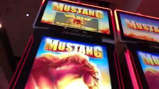 New Mustang Slot