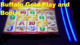 Buffalo Gold Bonus plus some play - This is how you not do it!