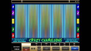 Crazy Chameleons• - Onlinecasinos.best