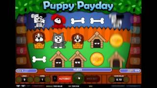 Puppy Payday• - Onlinecasinos.Best