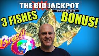 • 3 FISHES BRAZIL BONUS ROUNDS • BIG BOOMS INCOMING!