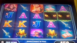 $5 MAX BET WMS Enchanted Darkness slot machine Free spins bonus