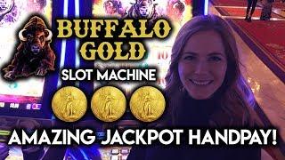 AMAZING • Buffalo Gold • HANDPAY! • JACKPOT WIN!!!