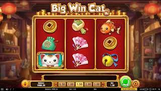 Big Win Cat•