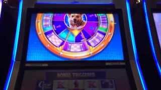 WMS' Corgi Cash Slot Machine On A Dime