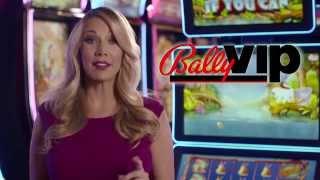 BallyVIP - The Ultimate CRM Solution for Casinos