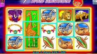 HOT HOT PENNY KING OF AFRICA Video Slot Casino Game with a "BIG WIN" FREE SPIN BONUS