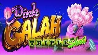 Pink Galah Slot - NICE SESSION - Triple Shot Progressives!
