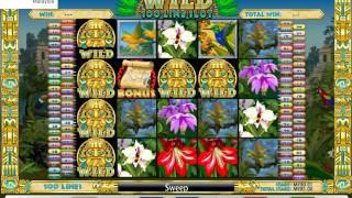 iBET Online Casino- iAG Amazon Wild Slot Game