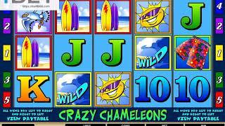 MG Crazy Chameleons  Slot Game •ibet6888.com