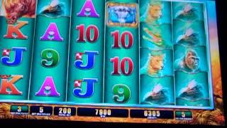 WMS Raging Rhino NEW GAME Bonus