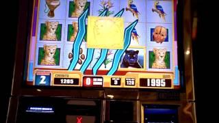Jungle Cats slotbonus win at Parx Casino.