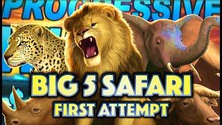 •BIG 5 SAFARI• PROGRESSIVE WINNER!? • FEELING INSPIRED BY DAN! Slot Machine Bonus (IGT)