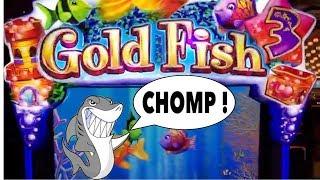 • Goldfish 3 Huge Bonus Wins ! • Big Chomps • - Aria Las Vegas