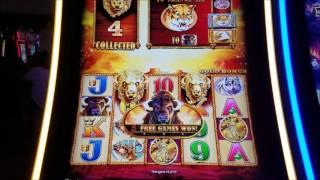 Buffalo Gold Slot Machine Bonus Win #2 !!!! Max Bet Live Play