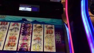 Buffalo Deluxe Slot Machine ~ Free Spins Bonus ~ Bay Mills Casino • DJ BIZICK'S SLOT CHANNEL