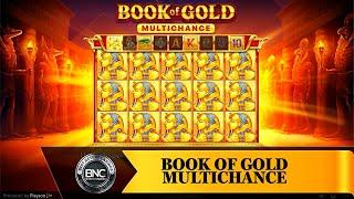 Book of Gold Multichance slot by Playson