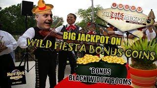 • Big Jackpot on Wild Fiesta Bonus Coins •