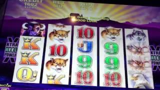 NICE Buffalo 2 Cent Slot Machine Bonus & Retriggers
