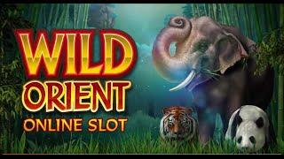 Microgaming Wild Orient Slot | 500€ Profit in 3 Minutes!!! | BIG WIN!