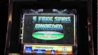 Jungle WIld Slot Machine Bonus-$1 Denomination