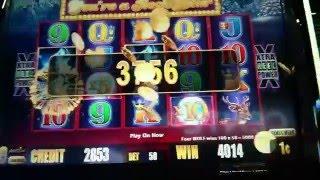 BIG WIN - Timber Wolf Deluxe Slot Machine Bonus - 50x Multiplier
