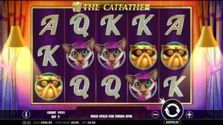 The Catfather•